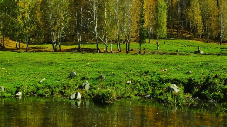 7-day 6-night · Private Tour · Xinjiang + Hemu Scenic Area + Kanas + S21 Desert Highway + Wulunguhu Park + Kelameili Desert Park