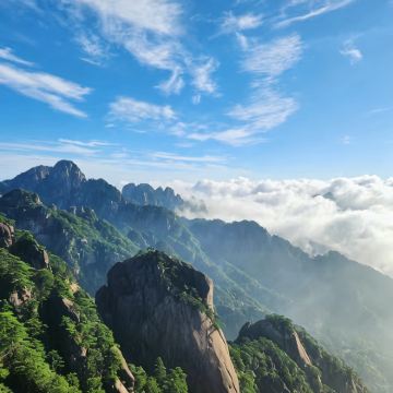黄山+九华山+西递+宏村景区+黄山风景区+呈坎5日4晚私家团