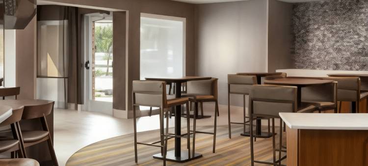 达拉斯北阿林顿万豪SpringHill酒店(SpringHill Suites Dallas Arlington North)图片