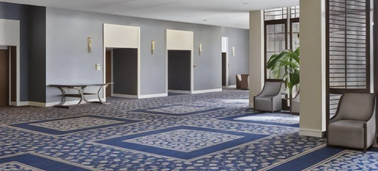 坦帕西海岸臻品之选酒店(The Westshore Grand, A Tribute Portfolio Hotel, Tampa)图片