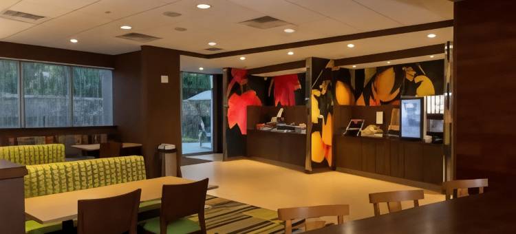 底特律-切斯特菲尔德万枫套房酒店(Fairfield Inn & Suites Detroit Chesterfield)图片