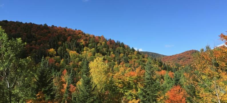 劳伦提安自然小屋(Lodge Nature Laurentides)图片