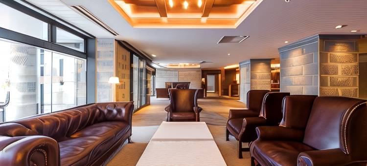 Sonia小樽酒店(Hotel Sonia Otaru)图片