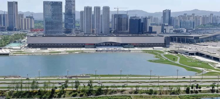 椰子公寓(成都兴隆湖华府锦城店)图片