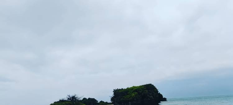 冲绳绿色小屋(Okinawa Green Lodge)图片