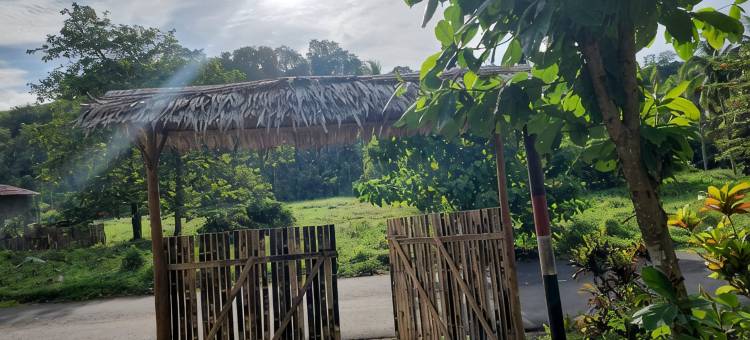 诺亚旅馆(Pondok Wisata Noah)图片