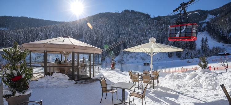 VAYA塞尔湖滨城(Vaya Zell am See Inklusive Zell am See Kaprun Sommer Karte)图片