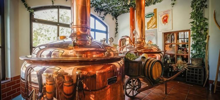 茨韦尼茨酿酒厂酒店(Brauerei Zwönitz)图片