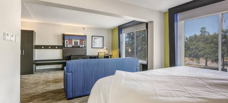 洲际酒店集团智选假日酒店及套房朗维尤北(Holiday Inn Express & Suites LONGVIEW NORTH by IHG)图片