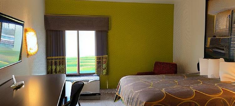 克莱蒙斯-温斯顿-塞勒姆地区速8酒店(Super 8 by Wyndham Clemmons/Bermuda Run/Winston-Salem I-40)图片