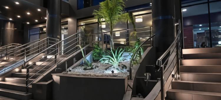 فندق فيوليت Violet Hotel图片