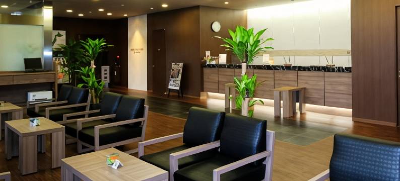 露樱酒店海老名站前店(Hotel Route-Inn Ebina Ekimae)图片