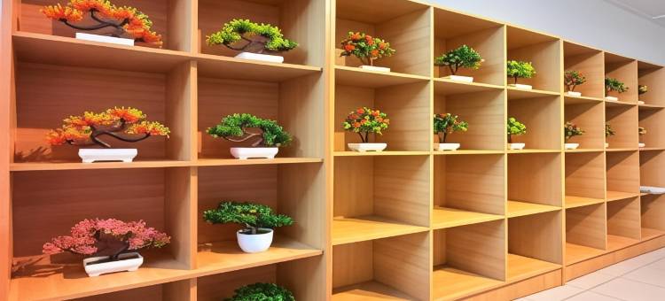 Hotel O S 高级民宿(Hotel O S Homestay Premium)图片