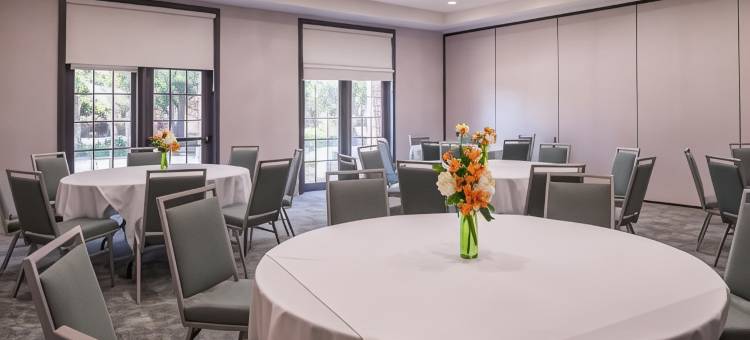 达拉斯艾迪生假日套房酒店(Holiday Inn & Suites Dallas-Addison)图片