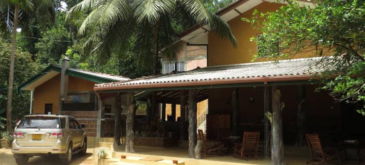 辛哈拉加观鸟小屋(Sinharaja Birder's Lodge)图片