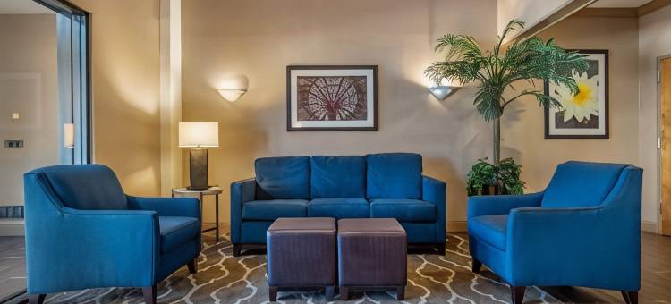 舒适酒店(Comfort Inn Amite)图片