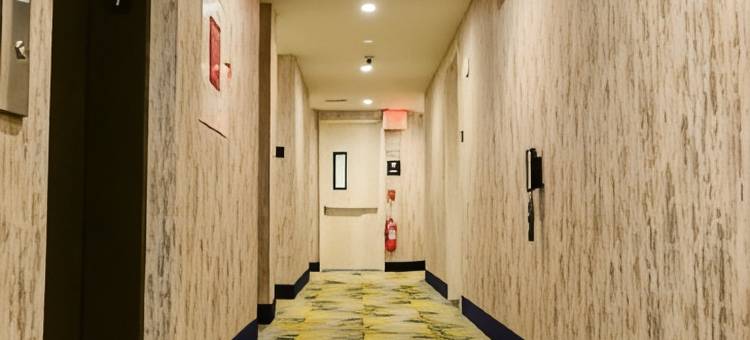 布朗克斯近植物园温德姆速8酒店(Super 8 by Wyndham Bronx Near Botanical Garden)图片