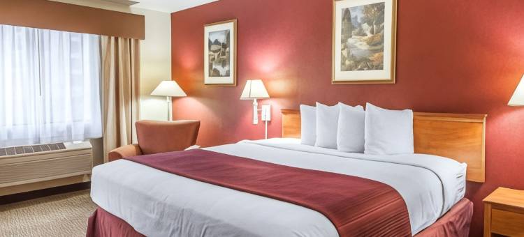 凯艺酒店-市区会议中心(Quality Inn Downtown Convention Center)图片