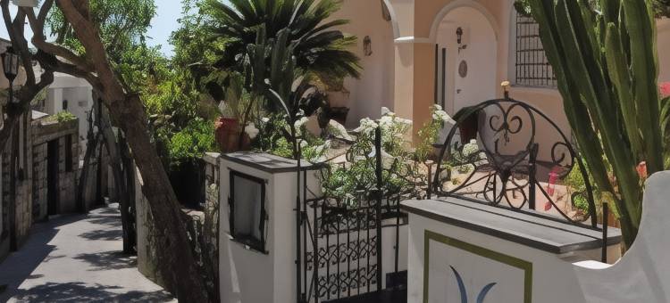 辛纳佛罗拉酒店(Sina Flora)图片