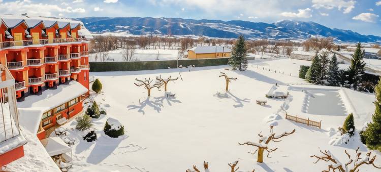 普奇塞达公园酒店(Puigcerda Park Hotel)图片