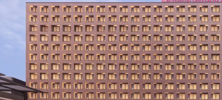 希尔顿花园酒店班加罗尔使馆Manyata商务园(Hilton Garden Inn Bengaluru Embassy Manyata Business Park)图片