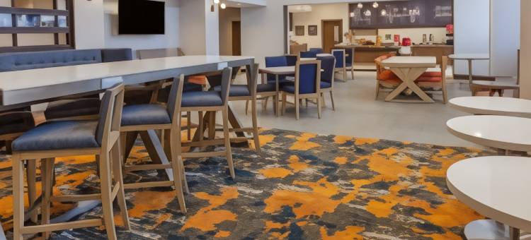 底特律布卢姆菲尔德山欢朋套房酒店(Hampton Inn and Suites by Hilton Bloomfield Hills Detroit)图片