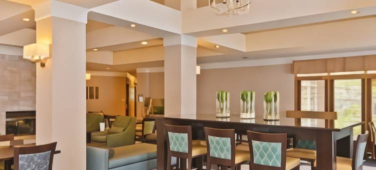 Homewood Suites by Hilton-绍姆堡(Homewood Suites by Hilton Chicago - Schaumburg)图片