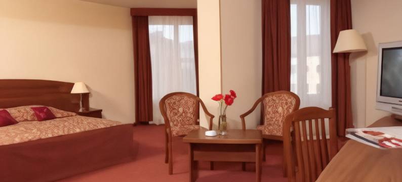 丰坦卡酒店(A Hotel Fontanka)图片