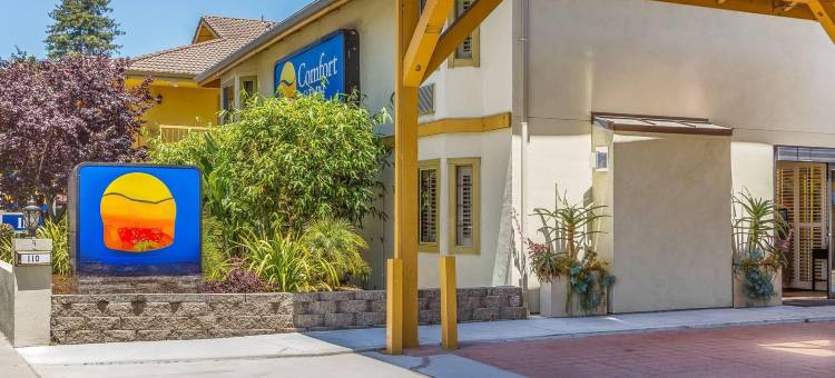 舒适酒店(Comfort Inn)图片