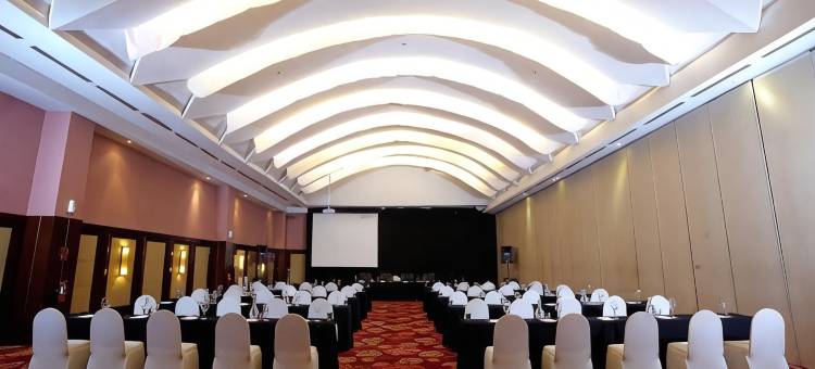 阿里斯塔帕拉姆邦酒店(The Arista Hotel Palembang)图片