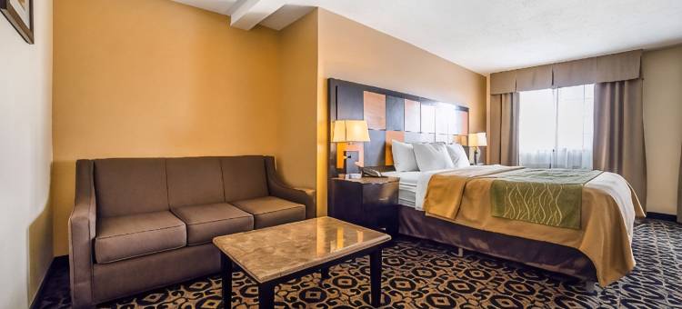 舒适酒店-巴拉德罗斯福(Comfort Inn Ballard-Roosevelt)图片