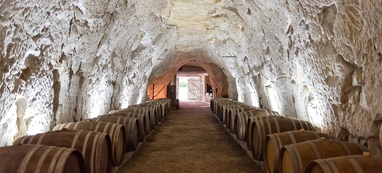 博蒙庄园 - 葡萄园与酒庄民宿(Domaine Beaumont - Vignoble & Maison d'Hôtes Vigneronne)图片