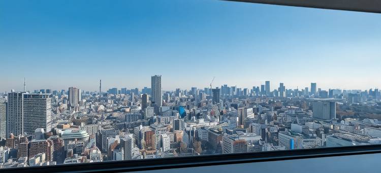 新宿格拉斯丽酒店(Hotel Gracery Shinjuku)图片