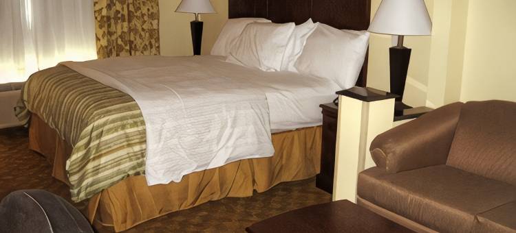 孤星贝斯特韦斯特酒店(Best Western Lone Star Inn)图片