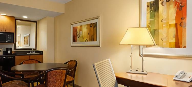 肯纳瑟拉昆塔温德姆套房酒店(La Quinta Inn & Suites by Wyndham Kennesaw)图片
