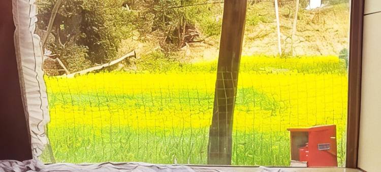 林芝工布江达巴桑藏式民宿图片