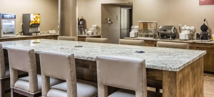 舒适套房酒店-弗雷德里克斯堡南(Comfort Suites Fredericksburg South)图片