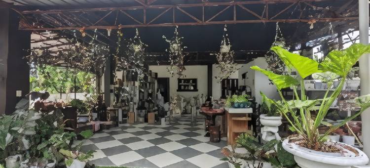 巴卡万休闲度假村及餐厅(Bakawan Hideaway Resort and Restaurant)图片