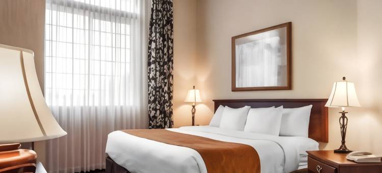 舒适套房酒店(Comfort Suites)图片
