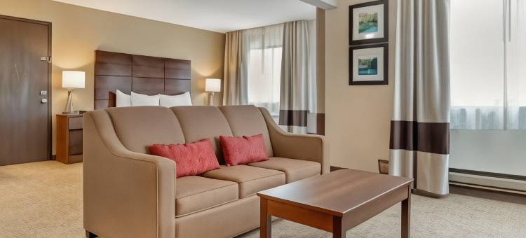 舒适旅馆(Comfort Inn)图片