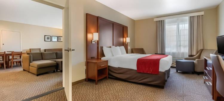戈尔特-北洛迪舒适酒店(Comfort Inn & Suites Galt - Lodi North)图片