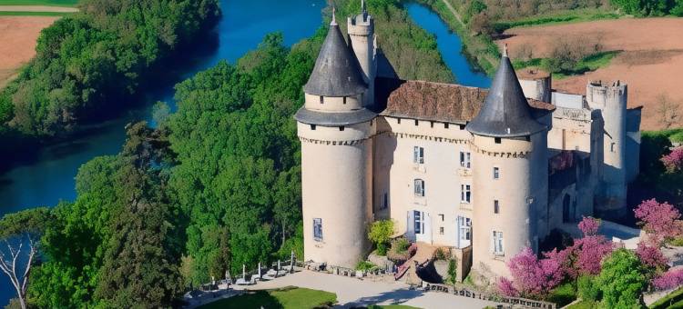 梅克斯城堡酒店(Château de Mercuès)图片
