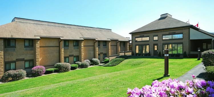 波科诺湖地区舒适酒店(Comfort Inn Pocono Lakes Region)图片