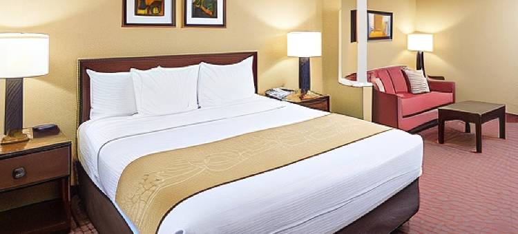 舒适套房酒店-近伯克山(Comfort Inn & Suites Near Burke Mountain)图片