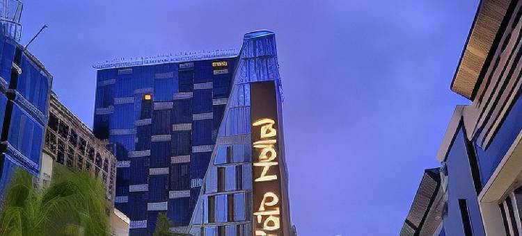 德萨图酒店(deSatu Hotel)图片