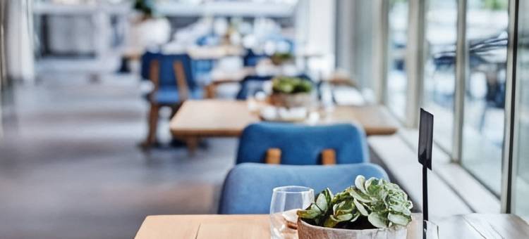 凯恩斯绿洲诺富特度假酒店(Novotel Cairns Oasis Resort)图片