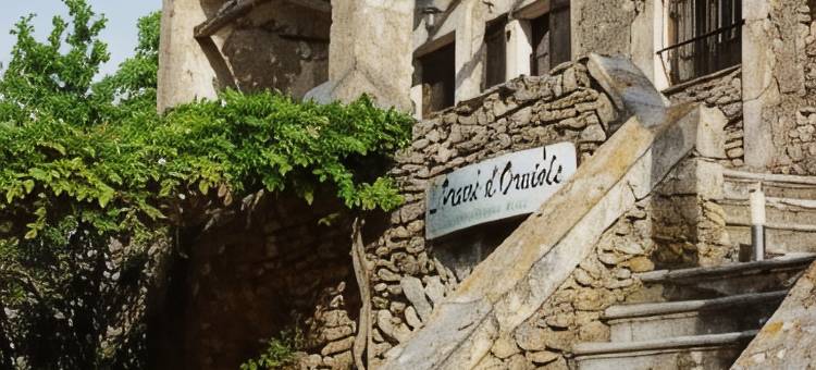 奥尼奥尔修道院(Chambres d´Hôtes Prieuré d'Orniols)图片