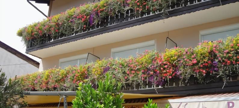 Gästehaus Trink B&B图片