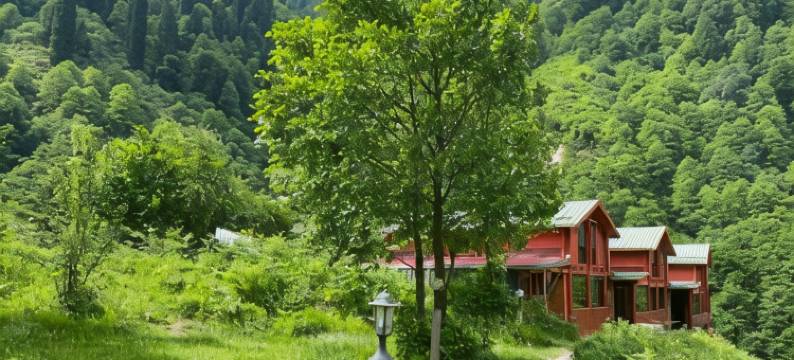 甘察尔艾德别墅(Ayder Villa Gencal)图片