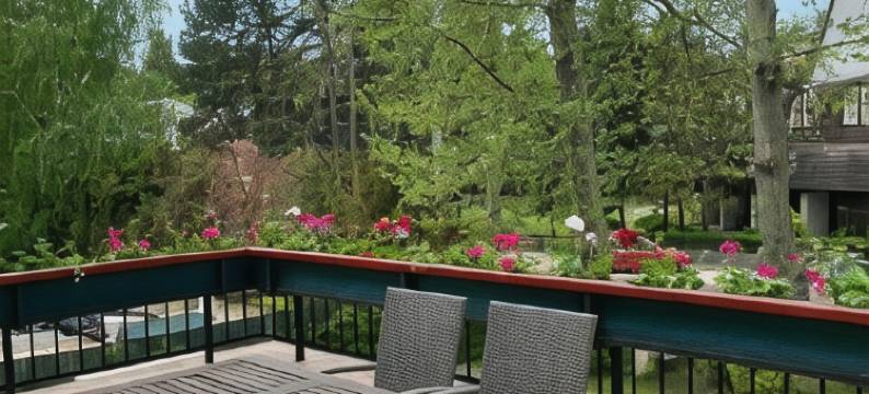 穹窿酒店(Főnix Hotel)图片